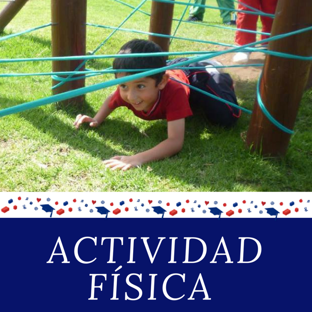 Actividad Física