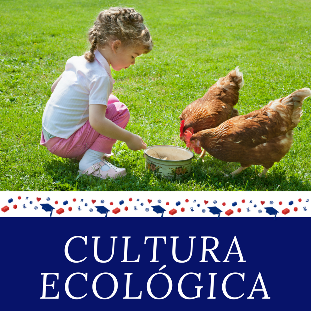 Cultura ecológica