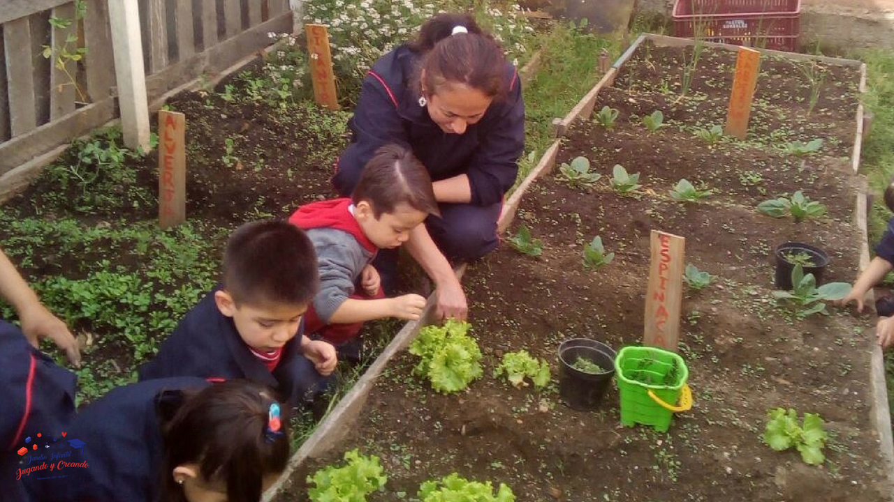 Huerta infantil 