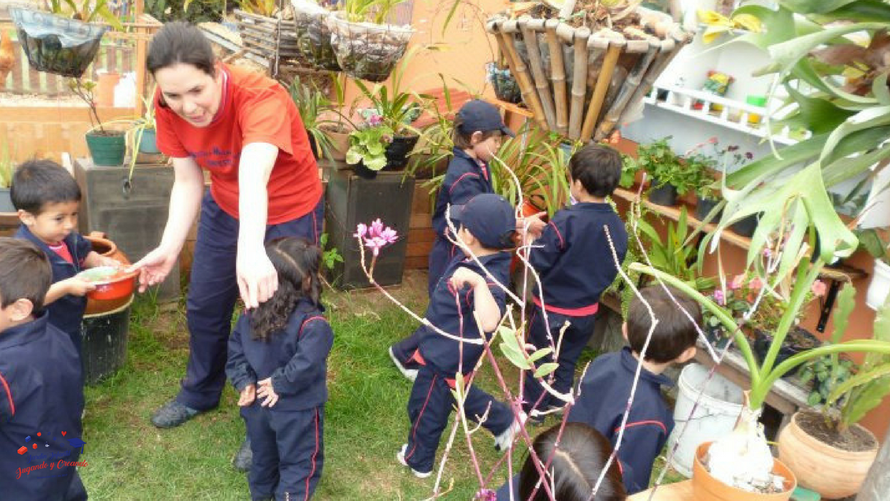Orquídeas de Colombia 